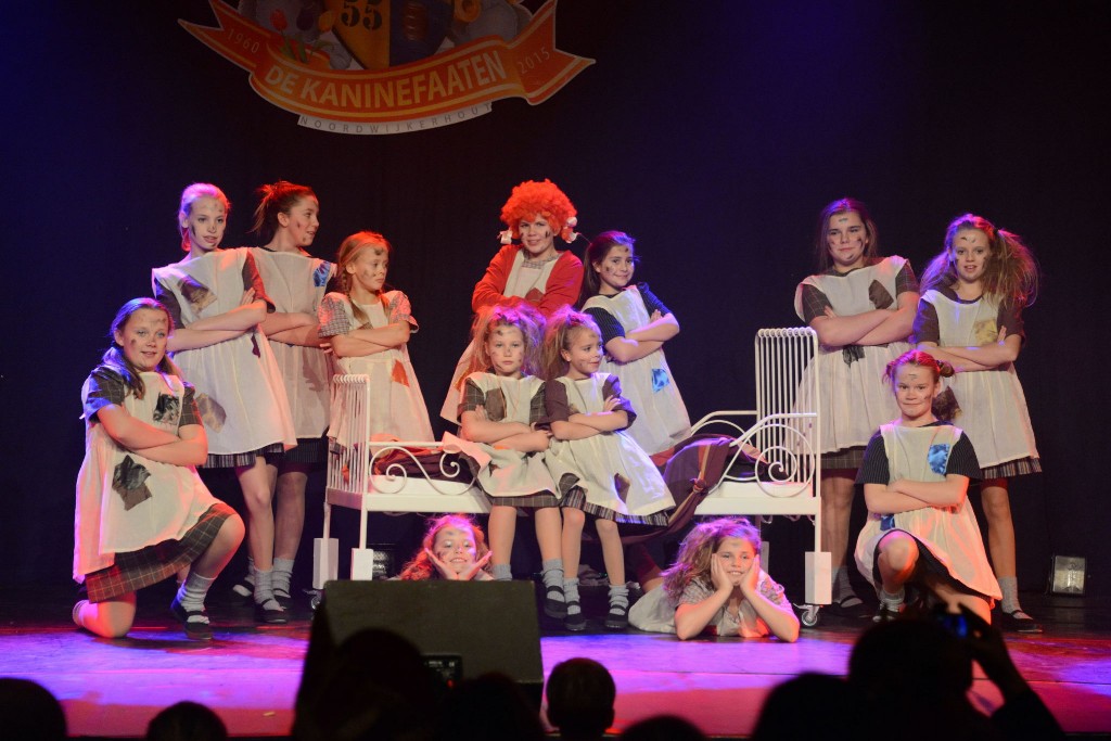 ../Images/Dansmarieke festival 2015 407.jpg